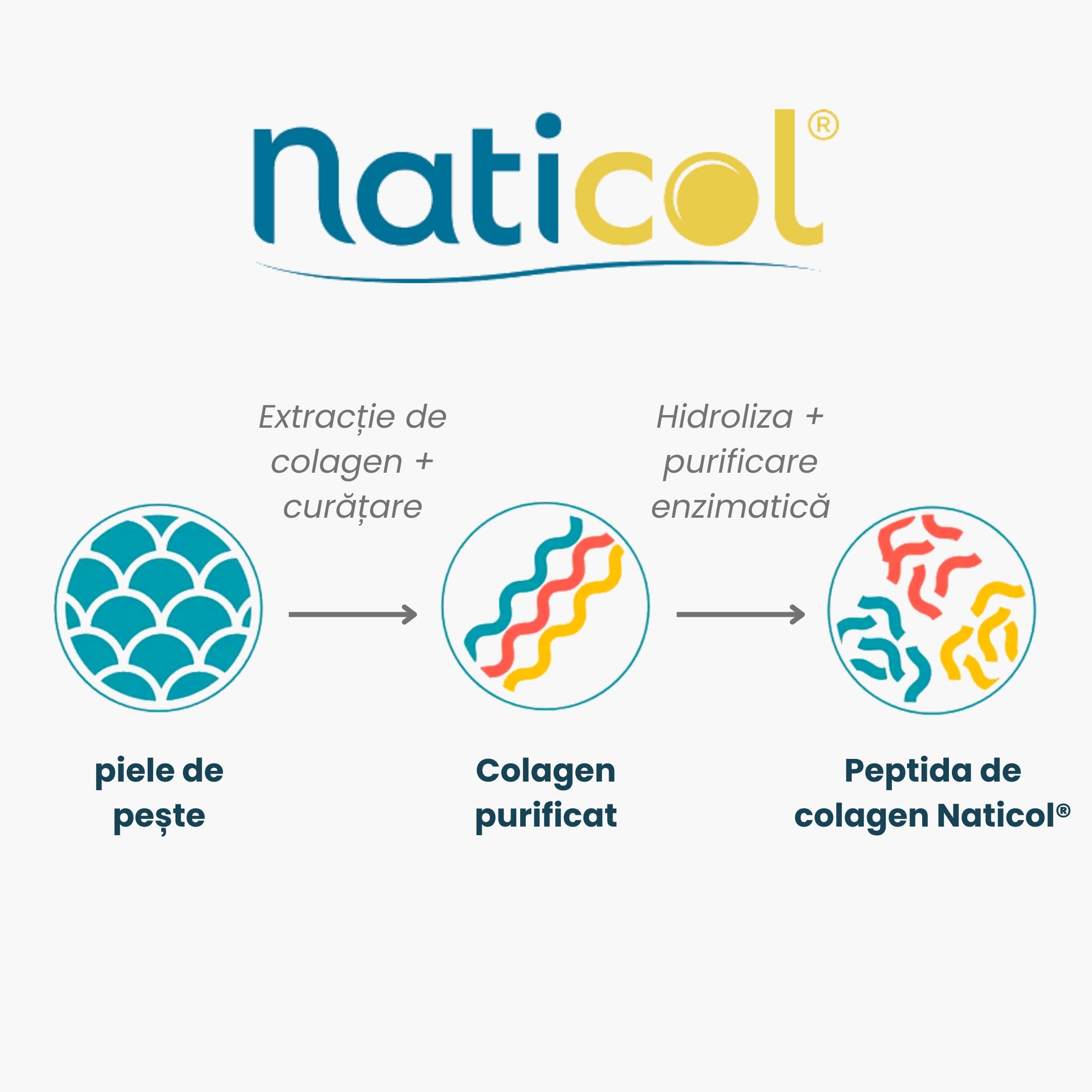(Rumunčina) Naticol